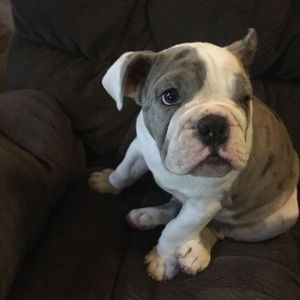 Meet your Posher, Gary